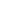 car-icon-opt